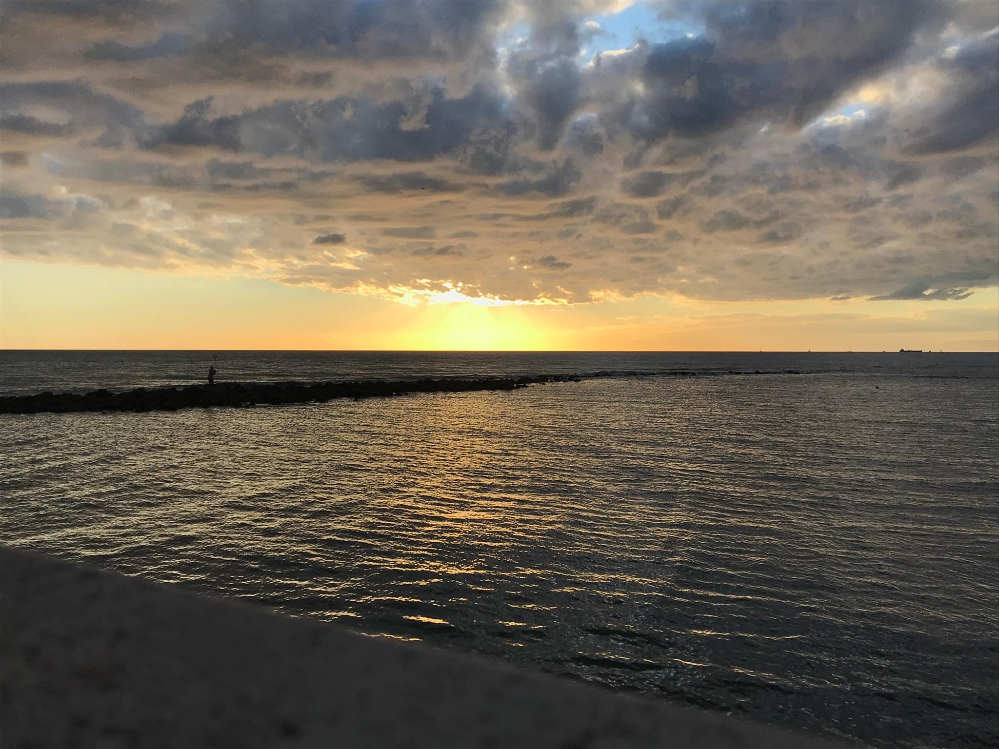 Le train pour la mer, un mardi