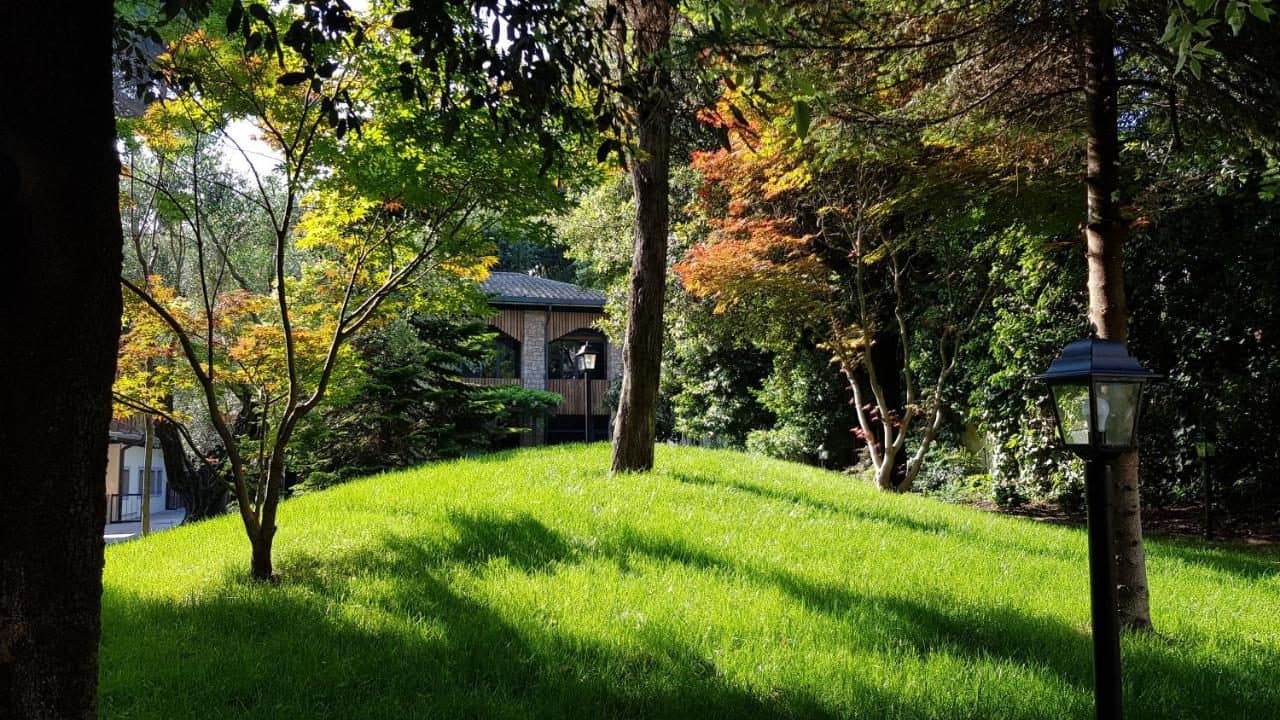 Le jardin et ses pins parasols. © Fauno Urban Resort