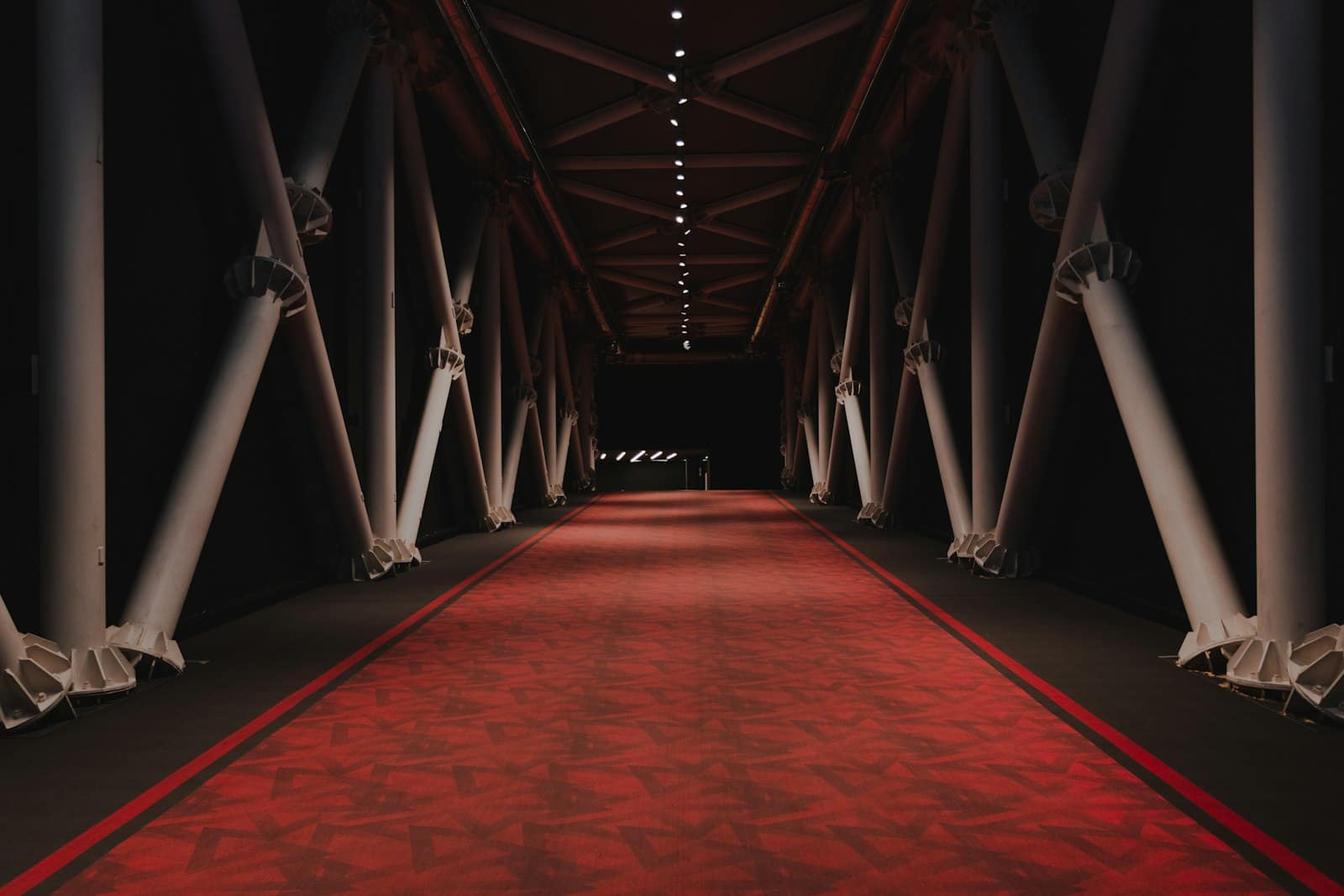 La Festa del Cinema di Roma