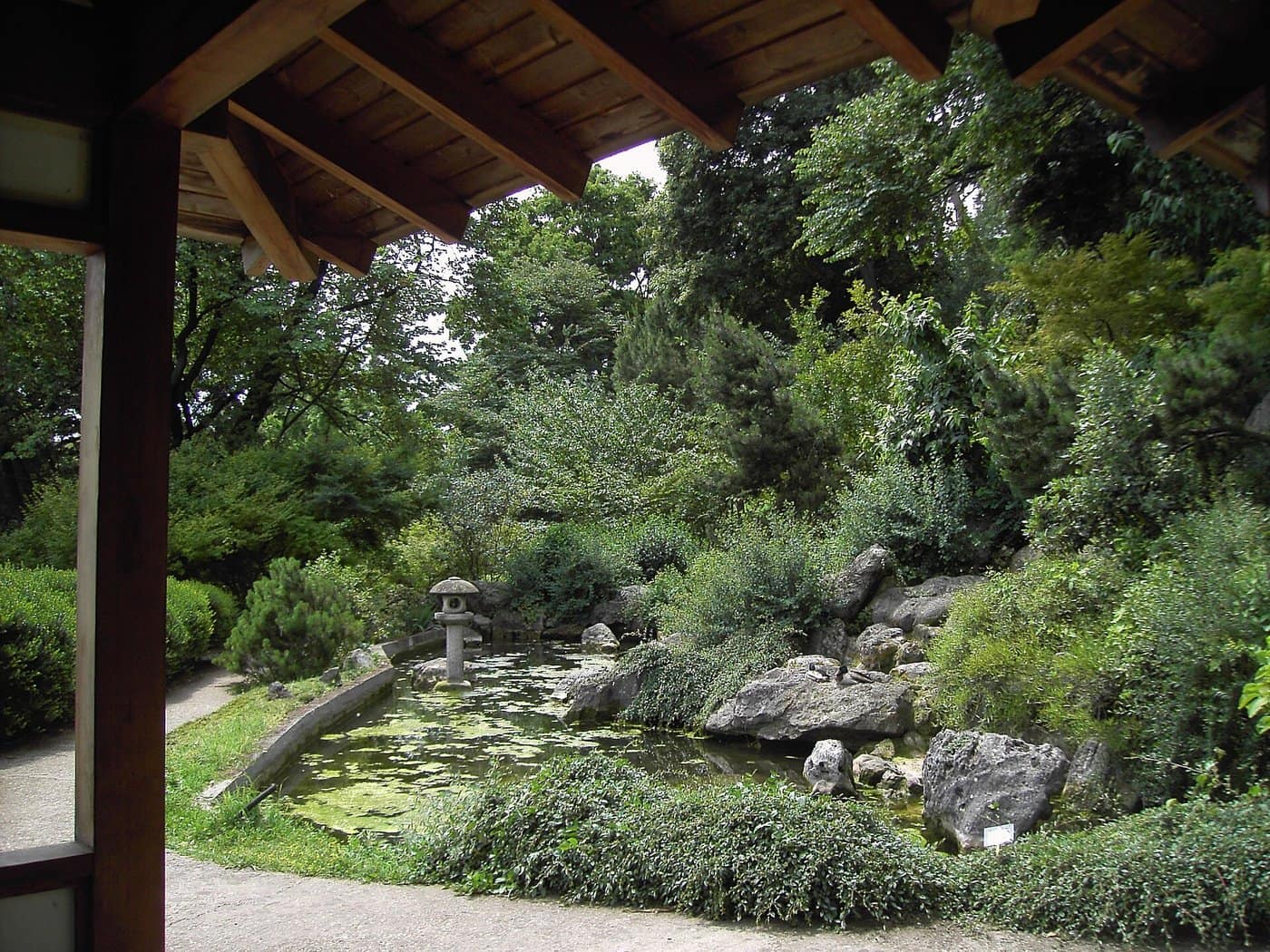 Le jardin botanique