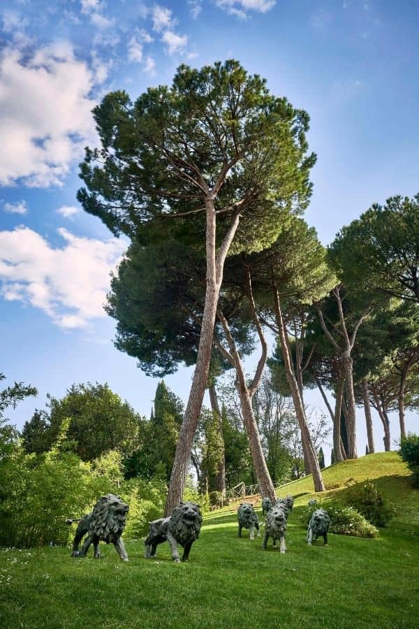 Le parc et ses pins. © Rome Cavalieri
