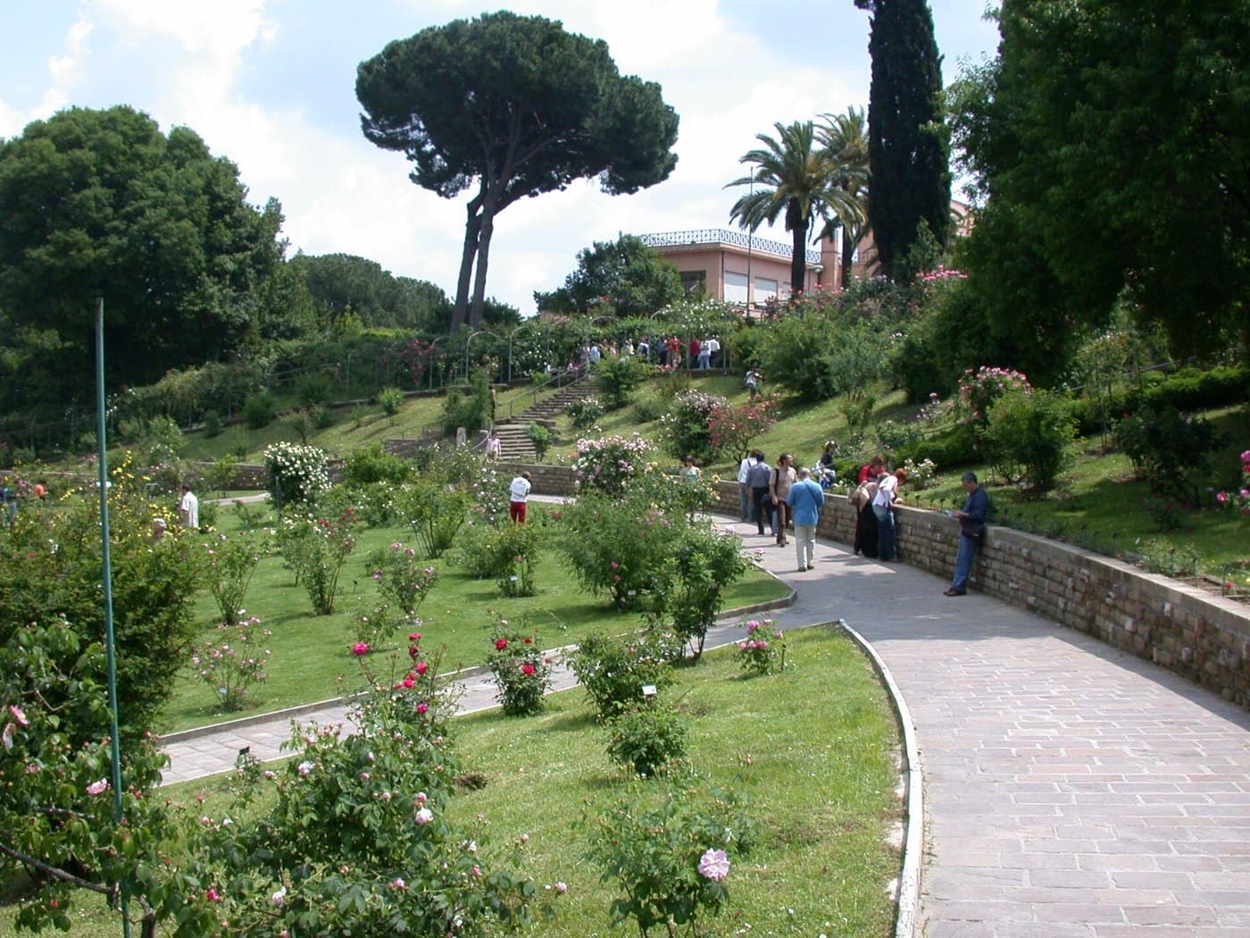 La roseraie communale de l'Aventin, ses milliers de roses et la vue sur le Palatin et le Circo Massimo.