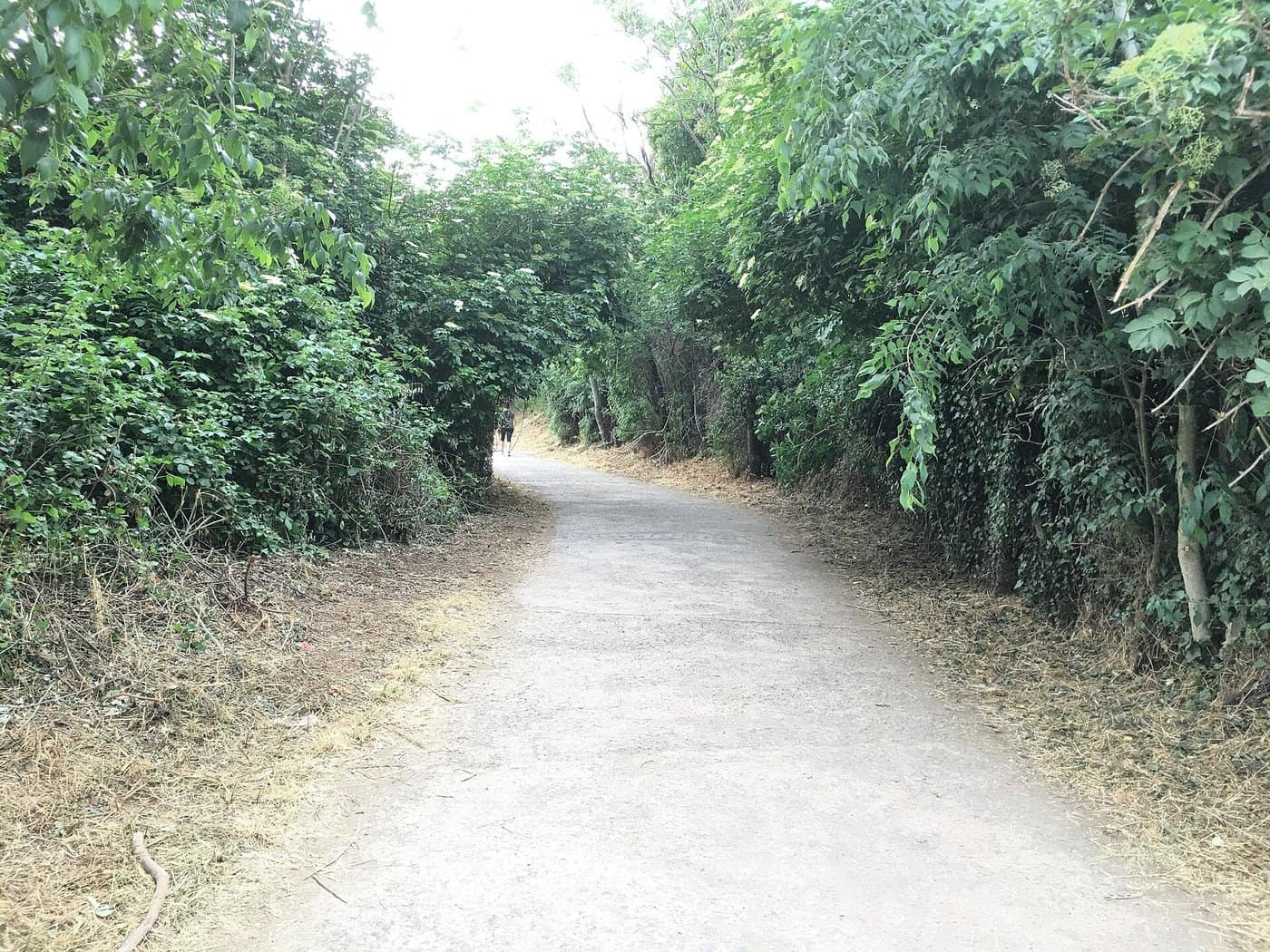 La vallée de la Caffarella : ses prairies pastorales, ses sentiers et le nymphée d'Égérie, dans le parc de l'Appia Antica.