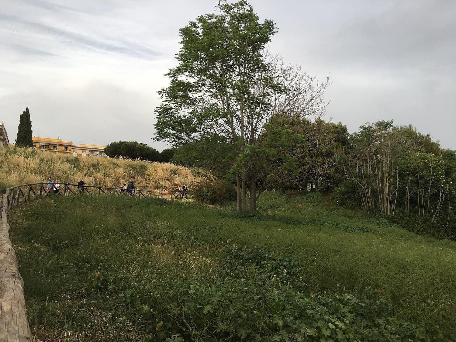 La vallée de la Caffarella