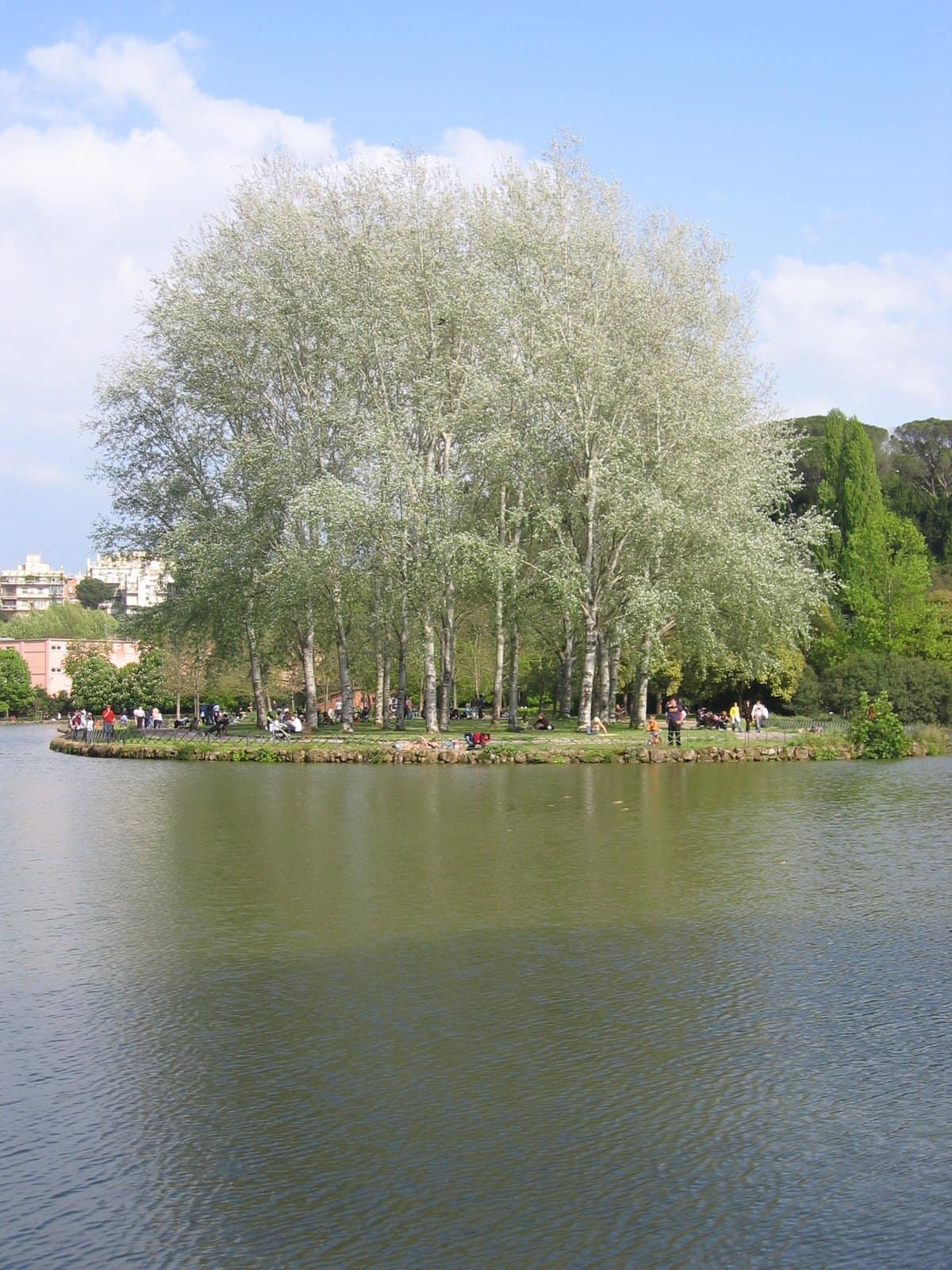 La villa Ada : le lac et son île, la Villa Reale (Villa Savoia) et les prairies boisées de l'ancien domaine royal.