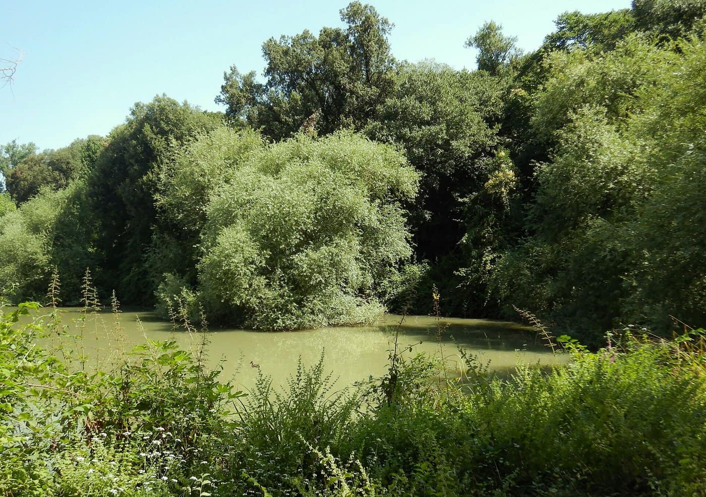 La villa Doria Pamphilj - photo 3