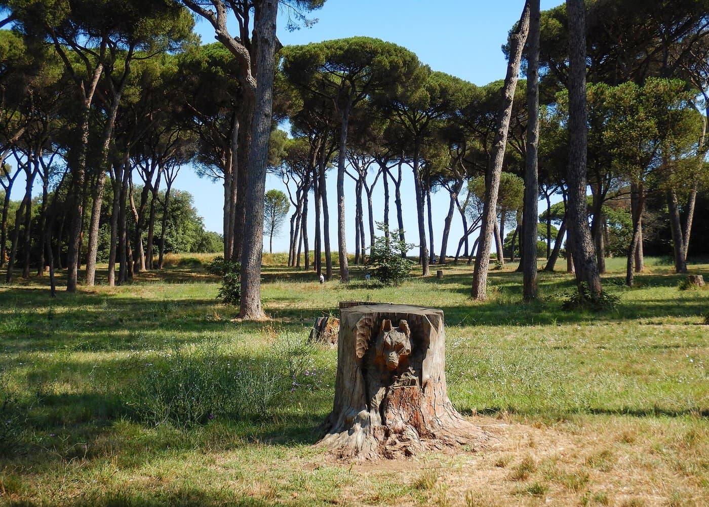 La villa Doria Pamphilj - photo 4