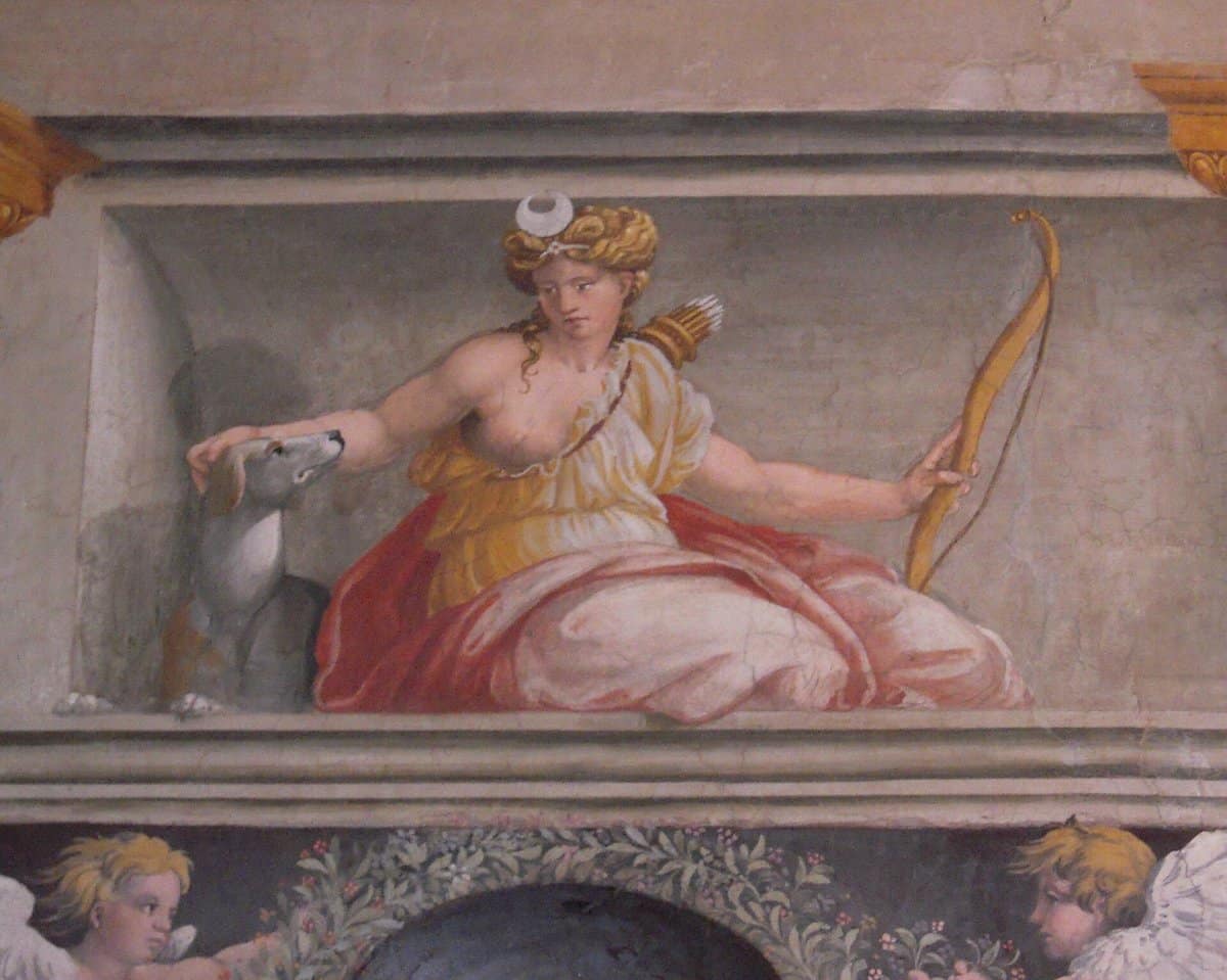 La Villa Farnesina - photo 5